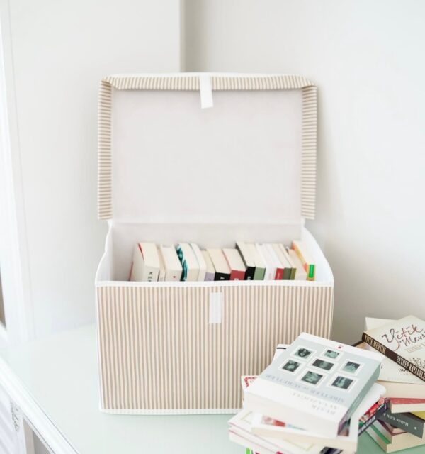 Storage Organizing Boxes